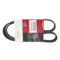 Автомобильная передача электроэнергии Poly Drive V ремень 6PK1000 для Audi A1 Sportback 1,4 TFSI